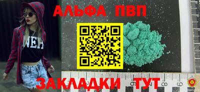 крисы Донской
